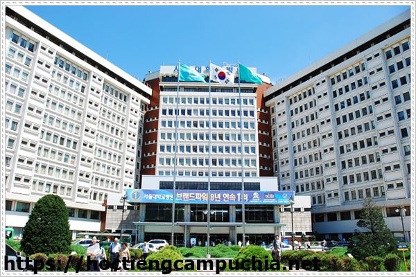 Những trường đ&agrave;o tạo hệ sau đại học cho sinh vi&ecirc;n du học H&agrave;n