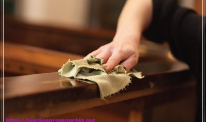 Bật mí 12 cách khử mùi khai hiệu quả