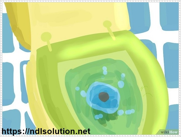 xử l&yacute; m&ugrave;i h&ocirc;i nh&agrave; vệ sinh bằng chế phẩm vi sinh