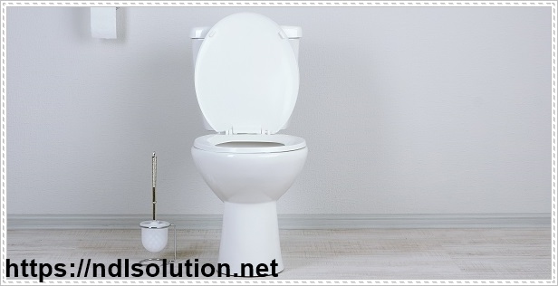 vệ sinh bồn cầu