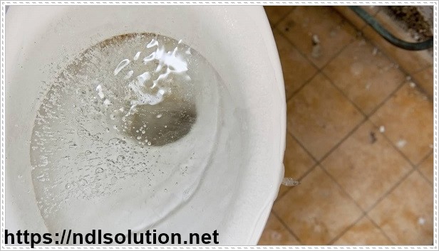 nguy&ecirc;n nh&acirc;n bồn cầu bốc m&ugrave;i h&ocirc;i khi xả nước l&agrave; g&igrave;