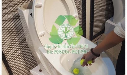 Những vật nên và không nên bỏ vào bồn cầu.