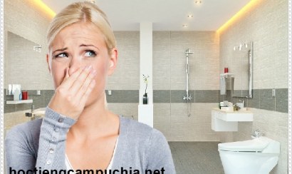 Những chất khử mùi hôi nhà vệ sinh hiệu quả