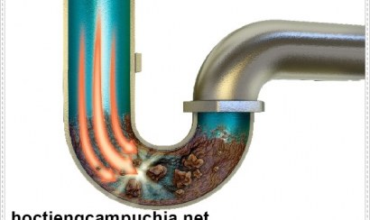 Vì sao cần khử mùi hôi cống nhà vệ sinh