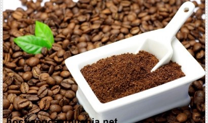 TOP 20 cách khử mùi hôi nhà vệ sinh toilet hiệu quả