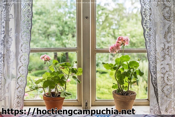 Khừ m&ugrave;i h&ocirc;i quanh nh&agrave; để c&oacute; một m&ocirc;i trường l&agrave;nh mạnh