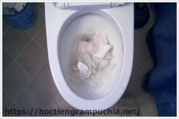 Nguy&ecirc;n nh&acirc;n g&acirc;y nghẹt bồn cầu