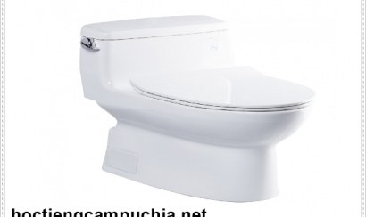 Mẹo giúp thông tắc bồn cầu siêu nhanh chóng