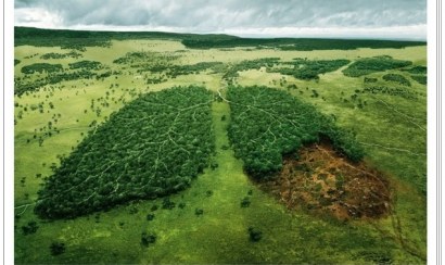 Ô nhiễm môi trường và biện pháp khắc phục nó